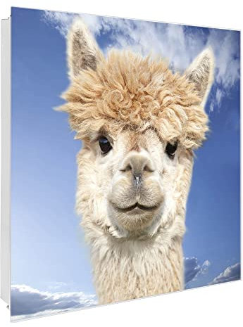 banjado Großer Schlüsselkasten Glas - Schlüsselbox 30x30cm mit 50 Haken - Schlüsselkasten modern für Schlüsselaufbewahrung mit beschreibbarer, magnetischer Glastür - Motiv Lama