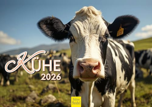 Edition Seidel Premium Kalender Kühe 2026 Format DIN A4 Wandkalender Kuhkalender Kuh Rind Kalb heimische Tiere Bauernhof