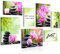 Novart Wandbilder Feng Shui Zen Steine - KOMPLETT AUFHÄNGFERTIG - Grün Rosa Wohnzimmer Schlafzimmer - 7 Moderne Mood-Bilder - N003471a
