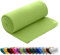 wometo Polar Fleecedecke oekoTex 130x160 ca. 400g mit Anti-Pilling und Kettelrand grün grasgrün