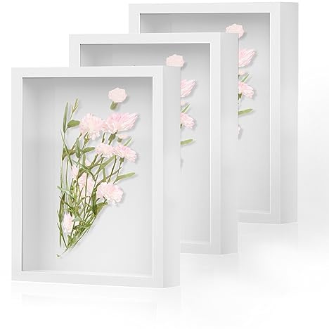 Shadow Box Frame 8x10 - 3 Pack Wood Deep Shadowbox with Glass