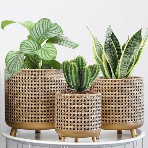 JHY DESIGN Set de 3 macetas, decoración metálica, macetas con diseño Hueco, Grandes macetas para Interior y Exterior, jardín, hogar, balcón, barandilla, Plantas en Valla (Oro)