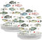 CHUNNIN 50PCS Gone Fishing Party for Fishing Themed Party Decoration 7Inches Ofishally One Birthday Party Plates Gone Fishing Disposable Dessert Plates for Little Fisherman Birthday Party Supplies