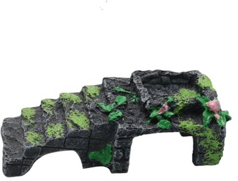 Cancer ermite - Habitat d'escalade - Échelle d'escalade pour reptiles avec gamelle d'eau pour grenouilles, lézards, tortues, serpents, hamsters - Toboggan décoratif pour terrarium - Pour la détente