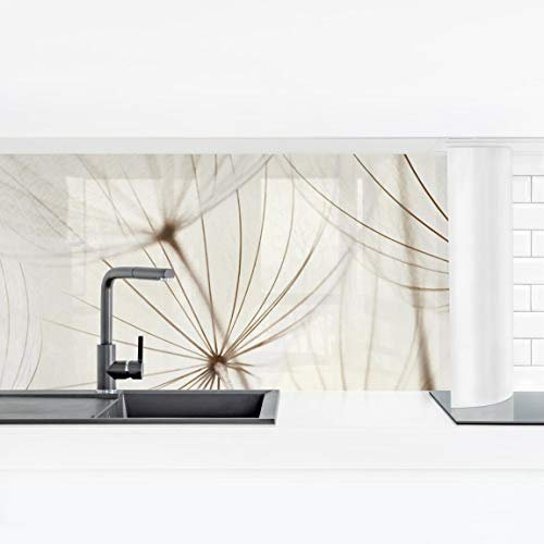Bilderwelten Küchenrückwand Folie Glänzend 40x140 cm Sanfte Gräser Spritzschutz Fliesenspiegel Küche-Rückwand Motiv Klebefolie