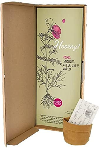 BloomPost Semillas Hooray - Semillas de Cosmea - Regalo Original de Buzón - Incluye mini bolsa de cuero de moda y tableta de tierra - Con instrucciones de siembra