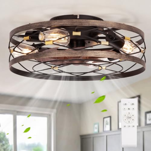 SHLUCE Ventilatore da soffitto fattoria ingabbiato con luce, ventilatori da soffitto rustici senza pale con luci e telecomando, piccolo profilo basso ventilatore da soffitto con luce per cucina