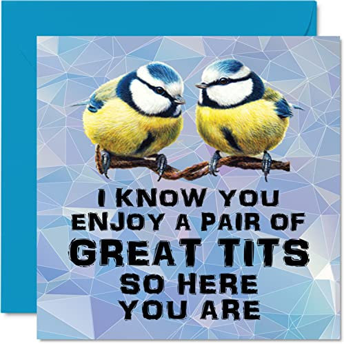 Lustige Geburtstagskarten Männer – tolles Paar – unhöfliche Geburtstagskarten den besten Freund Vater Bruder Sohn Großvater 145 mm x 145 mm witzige Grußkarten zum 18. 21. 30. 40. 50. 60. Geburtstag