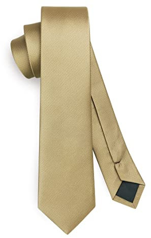HISDERN Herren Krawatte Champagner Schmale Einfarbig Seide Krawatten für Herren Klassische Formelle Elegante Schlipse Hochzeit Party Business Krawatte 6cm