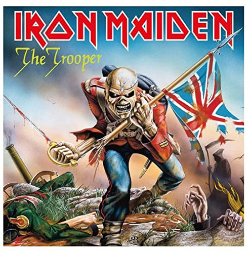Iron Maiden Canvas (The Trooper Design) Square Canvas Board 40x40cm - Official Merchandise