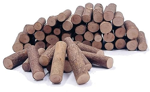 Bastelstäbchen, Holzstäbchen, Bastelzweige, Handwerk, Holzspielzeug, DIY-Vasenfüller, Kürbisstiele, rustikale Dekorationen, Ornamente, lose Teile, Spielmaterialien 50 Stück