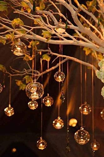 18er Set Glaskugeln Weddig Hagig 80mm, Glas Terrarium Mit Teelampe, Glas Haig, Terrarium Kugelhalter, Teelichthalter Weddig Decor Idoor Outdoor, Clear, 50