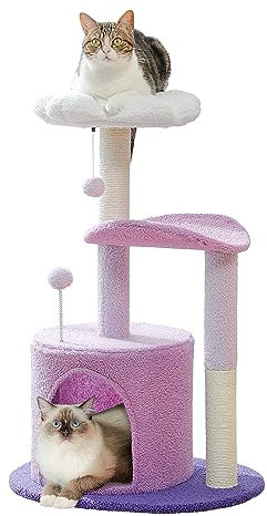PETEPELA Kratzbaum klein 84cm moderner Katzenzbaum abziehbar top Bett, Plüsch Höhle, 2 Sisalsäulen, 2 Spielbälle, lila