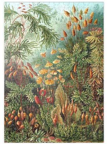 MyPuzzle Moss (Muscinae) - Kunstformen in der Natur, Vintage Art Poster, Ernst Haeckel - Premium 500 Teile Puzzle - MyPuzzle Sonderkollektion von Havana Puzzle Company