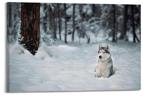 Tierposter Sibirischer Husky, dekoratives Leinwandbild und Kunstposter, 60 x 90 cm