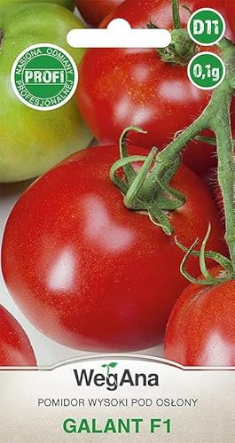 WegAna Tomaten Hohe Galant Samen F1 0,1g Tomatensamen Robuste Gemüsesamen, Gemüse Samen Anzucht Saatgut für Gewächshaus Garten