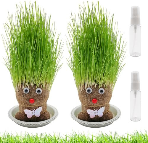 Graskopf Puppenpflanze, 2PCS Wachsende Graskopf Puppenpflanze, Graskopf Wachsende, Graskopf puppe Mit Tablett, Mini Bonsai Gras Kopf Figure Puppen, Kinder Handwerk DIY Lustiges Geschenke (M1)