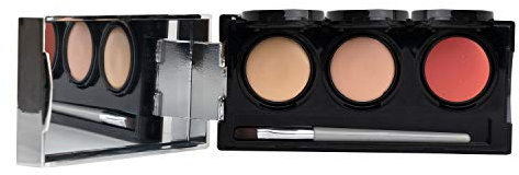 Tattoo Abdeck Makeup, wasserfester Concealer, 3 Farben + Pinsel, von Dermaflage, 6,9 g