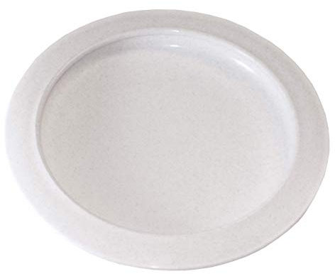 Plate with Curved Inner Lip, 9 Inch Diameter