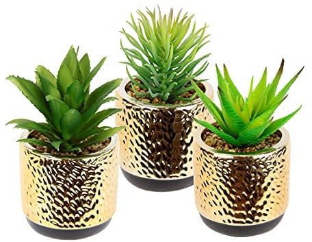 Lot de mini plantes succulentes dans un pot en céramique doré avec pierres décoratives - Plantes artificielles en pot - Plantes vertes - Agave - Cactus, plantes grasses, cactus, plantes d'intérieur