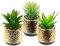 Lot de mini plantes succulentes dans un pot en céramique doré avec pierres décoratives - Plantes artificielles en pot - Plantes vertes - Agave - Cactus, plantes grasses, cactus, plantes d'intérieur