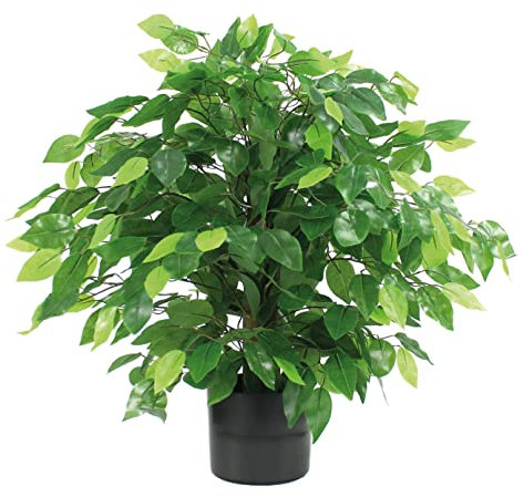Blooming Artificial Plants Indoors in Pots, Faux Decorative Foliage, No Hassle, Easy Care, Perfect for Bringing Life to Indoor Spaces (Weeping Fig Ficus) (Green) (60cm)