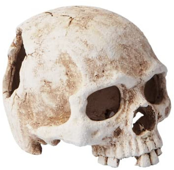 IMFLY Aquarium-Dekoration Totenkopf,Kopf Skelett Aquarium Höhle Landschaft Aquarium Dekorationen,Menschliche Totenkopfmodel Schädel Modell