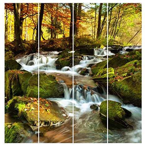 Bilderwelten Schiebegardinen Wasserfall herbstlicher Wald - Deckenhalterung, 4X 250 x 60cm