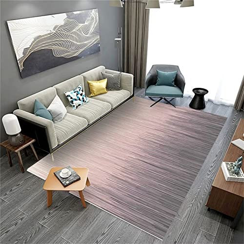 DJHWWD Chambre Fille Complete terrasse Exterieur Tapis Rectangulaire À Poils Ras Tapis Gris Rose Tapis De Chambretapis d Entree Exterieur 80X120CM