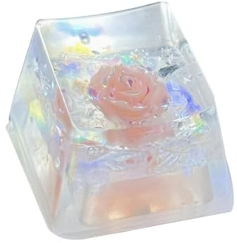 Tastaturtasten, Harz Backspace, Harz Trockenblumen Tastatur - Tastatur, lichtdurchlässig, Ersatz Sa Profil, Esc, R4 Tasten für Tastatur