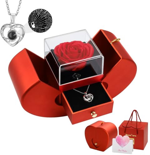 Emibele Konservierte Rot Rose Frauen Mama Oma,Ewige Blume Rose Box Herz Halskette Ich Liebe Dich 100 Sprachen, Valentinstag Geburtstag Jahrestag Geschenke für Frau Freundin Sie