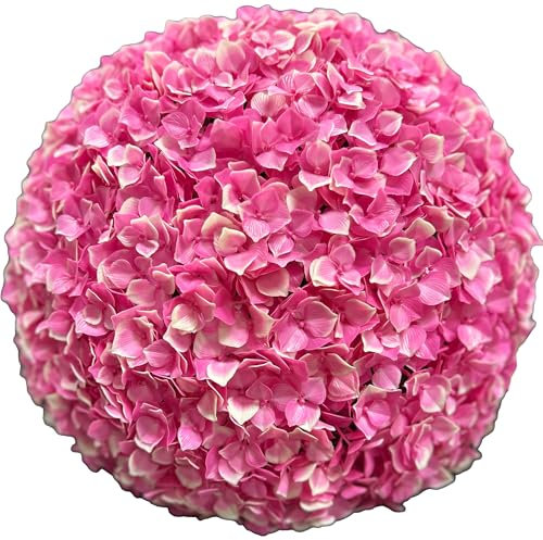 TENAX Hortensia Pink Bloom Ø 38 cm Rose, Plante Artificielle en Forme de Boule, Fleur Type Hortensia, Sphère Décorative pour la Décoration de la Maison et du Jardin, Intérieur et Extérieur