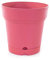 Mintra Home Pot de Fleurs Rond - Plastique Incassable - sans BPA – 21.6 cm - Planter des Fleurs, Jardinage, Plantes - Durable pour Intérieur, Extérieur, Terrasse, Pelouse (Corail)