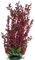 Jumbo Extra Large Tall Plastic Seaweed Aquarium Plant 50-52cm (19-20 Inch) Tall, Burgundy Round Leaf Plant with Weighted Base Fish Tank or Pond Decoration Ornament