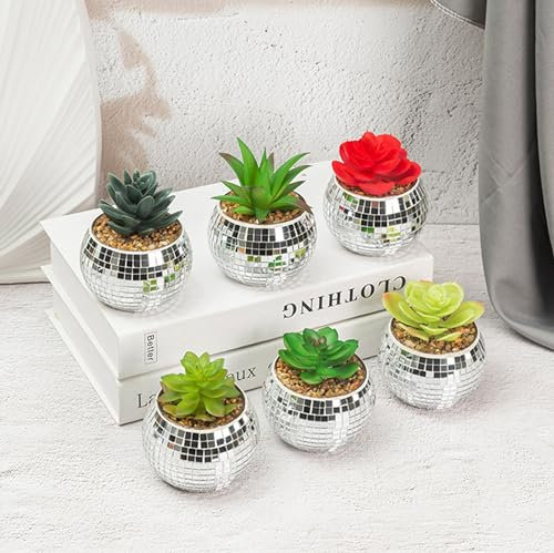 6-teiliges Disco-Glaskugel-Pflanzgefäß-Set, silberfarben, verspiegelt, Pflanzenhalter für Zimmerpflanzen, Sukkulenten, Kakteen, 10,2 x 12,7 x 12,7 cm