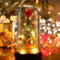 Probuk Mini albero di Natale, decorazione eterna per albero di Natale, in cupola di vetro con luci a LED, decorazioni per casa, camera da letto, Capodanno, Natale, San Valentino, regali per donne