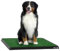 MaxxPet Hundetoilette Kunstrasen - Trainingskissen Sauberkeit - Sauberkeitstraining Hund - 64x52cm - Zusätzliche Plaids inklusive
