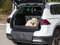 Hundeautositz, Hundedecke Auto Vordersitz/Rückbank, Transportbox Katze, Hundebox, Hundekorb, Hundegeschirr, Hundebett, Hundekörbchen (Schwarz Skaj, (1) 70x92x39 cm)
