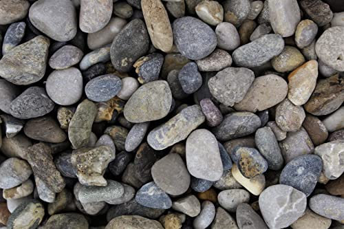 Gartenwelt Riegelsberger Kies 1 kg Bergkies gewaschen Körnung 7-15 mm Gartenkies Teichkies Dekokies Deko Wegkies Wegsteine Zierkies Naturkies