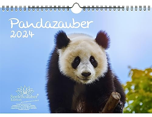 Pandazauber DIN A4 Kalender für 2024 Panda - Geschenkset Inhalt: 1x Kalender, 1x Weihnachts- und 1x Grußkarte (insgesamt 3 Teile)