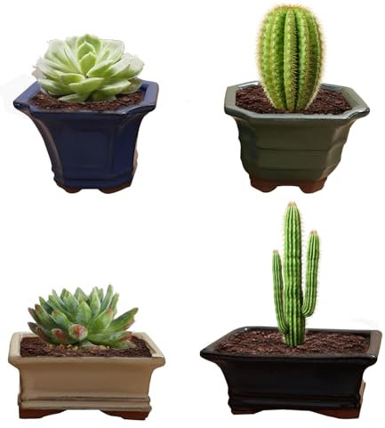 Macetas de Ceramica con Agujero de 15mm para Drenar el Agua Pack 4 Uds | 10x10 cm | Macetas Ceramica Pequeñas para Interior y Exterior | Macetas de Ceramica Pequeñas Cactus-Planta Crasa-Suculentas