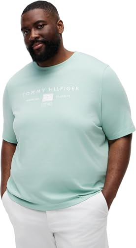 Tommy Hilfiger Herren T-Shirt Kurzarm Brand Love Mono Stack aus Baumwolle, Grün (Crushed Mint), 5XL