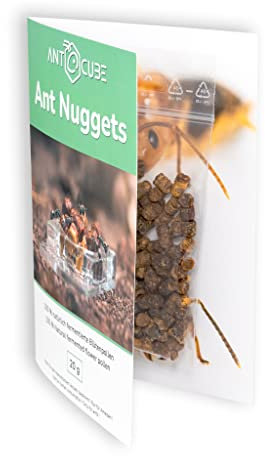 ANTCUBE