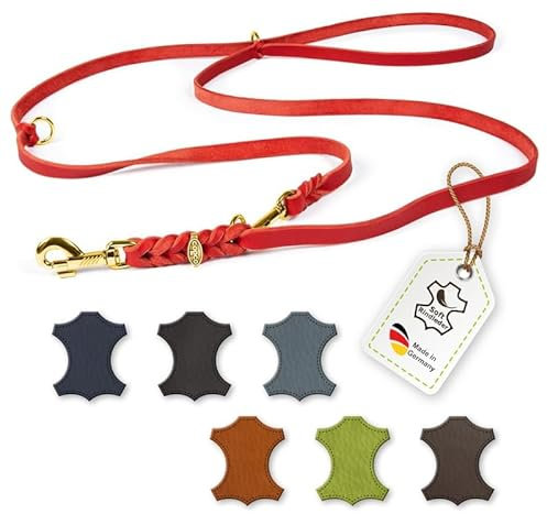 CopcoPet Hundeleine aus Fettleder 2m x 10mm Rot – 3-Fach verstellbar, geflochten – Mit Messingbeschlägen – Grifffest, robust – Umhängeleine für kleine Hunde, ideal für Spaziergang, Training