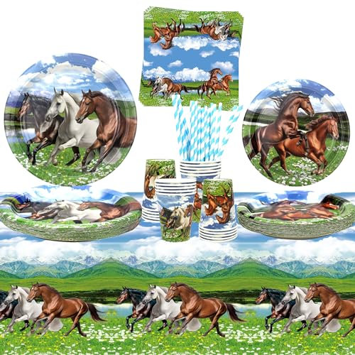 Lot de 20 assiettes à dessert, assiettes, tasses, serviettes, nappes, pailles pour cowboy, western garçon, décorations de fête d'anniversaire