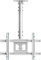 ONKRON TV Deckenhalterung für 32-80 Zoll TVs bis zu 68 kg, Wand & Decken TV Halterung höhenverstellbar, VESA 100x100-600x400, Fernseher Deckenhalterung schwenkbar, neigbar Weiß N1L-W