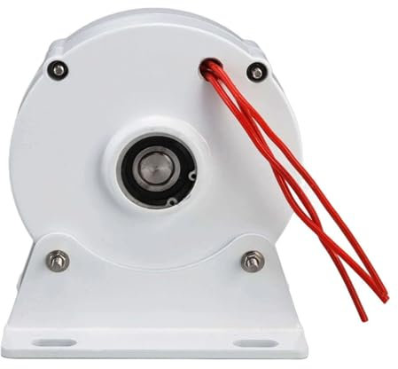 HYZHANHONG 12v, Niedrige Geschwindigkeit 600 U/min 3000 W 220 V Kleiner Permanentmagnet-Generator Lichtmaschine für den Eigenbau Ihrer eigenen horizontalen Windturbine 12 V