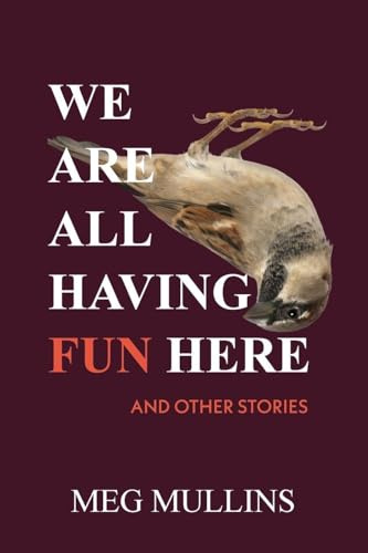 We Are All Having Fun Here