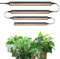 Barrina T5 1FT Grow Lights for Indoor Plants, Yellow Full Spectrum Plant Lamps, 20W(4 x 5W), Magnetic Black Cover LED Grow Light Strip with Switch, Linkable, Plug and Play, 4 Packs