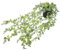 TOYANDONA Planta Colgante Artificial de con Maceta Decorativa Natural para Decoración de Interiores y Exteriores Sin Necesidad de Riego para y